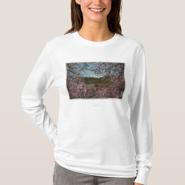 Wenatchee, WAView of Mt. Cashmere with Trees T-Shirt (Front)