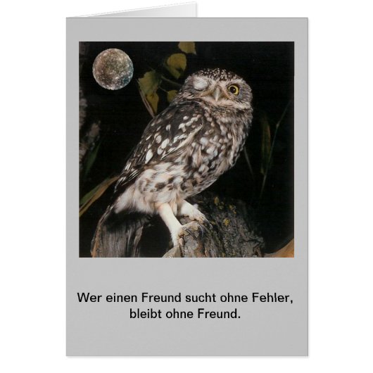 Wer einen Freund sucht....... Cards (Front)
