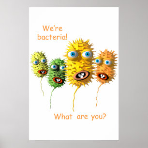 We're Bacteria Poster