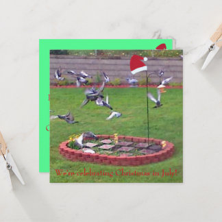 We're celebrating Christmas in July, birds invites