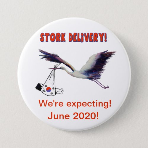 Were Expecting _ Stork Delivery From Korea Button