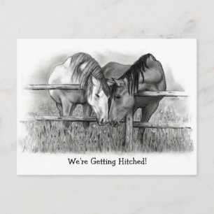 We're Getting Hitched: Horses, Pencil Art, Wedding Invitation Postcard