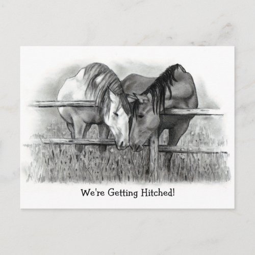 Were Getting Hitched Horses Pencil Art Wedding Invitation Postcard
