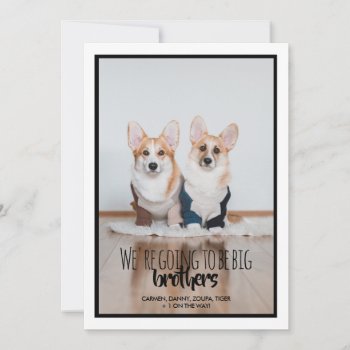 We're Going To Be Big Brothers/sisters! Invitation by theMRSingLink at Zazzle