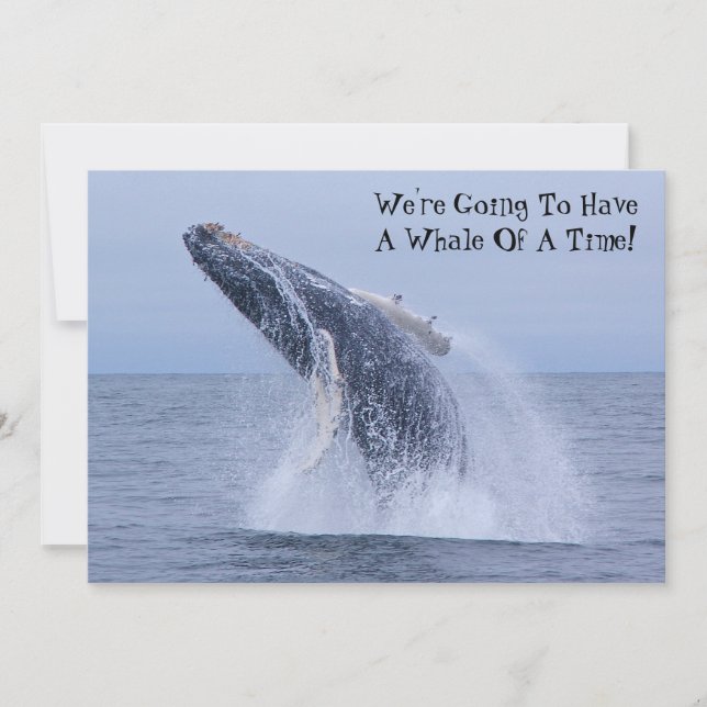 We're Going To Have A Whale Of A Time! Invitation (Front)