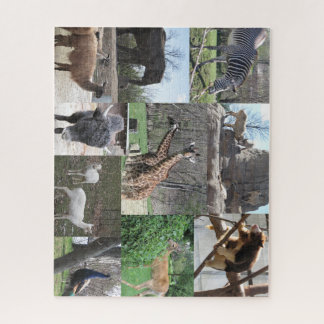 We're Going to the Zoo Jigsaw Puzzle