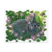 We're Having A Party Bunny