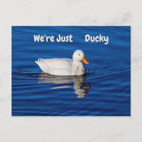 Were Just Ducky Postcard