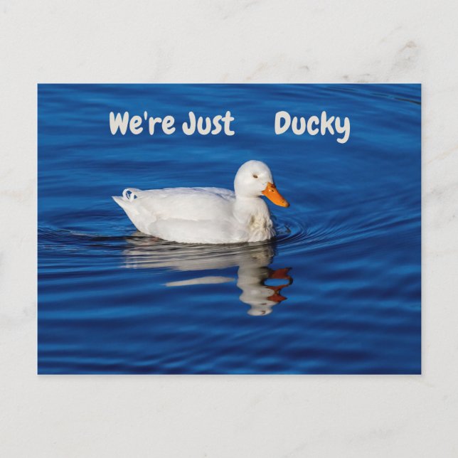 We're Just Ducky Postcard (Front)