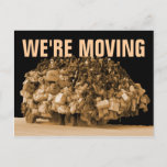 We&#39;re Moving Announcement Postcard at Zazzle