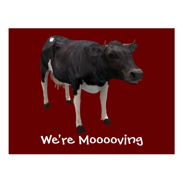 We're Moving Dairy Cow Funny Farm Humor Post Card
