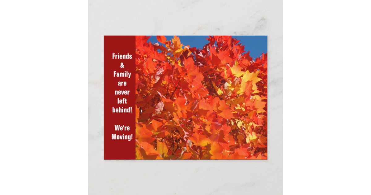 We're Moving Postcards Friend & Family Moving | Zazzle