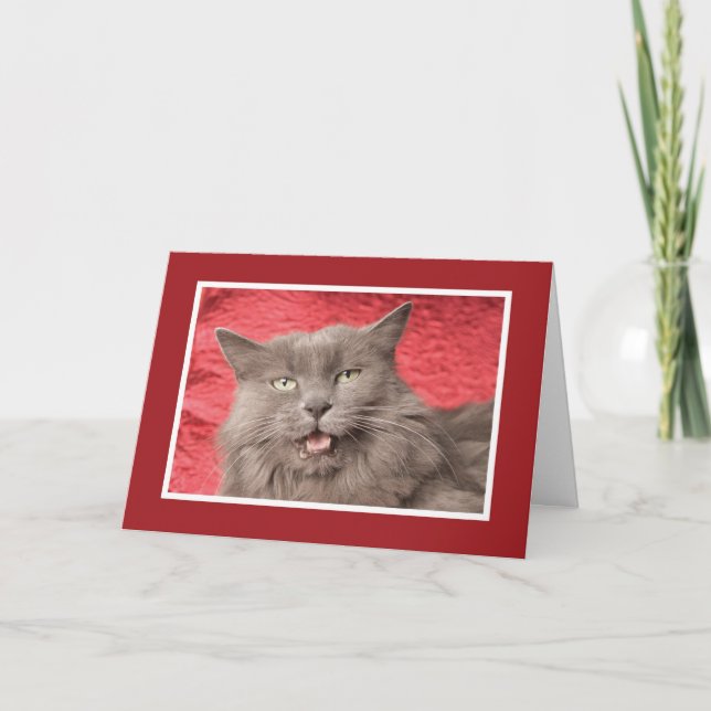 We're Purrfect for Eachother - Customized Holiday Card (Front)