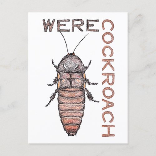 Werecockroach Postcard