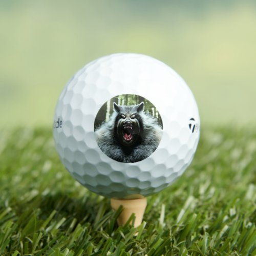 Werewolf Taylor Made TP5 golf balls 12 pk
