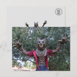 Werewolf  / Wolf Man Postcard