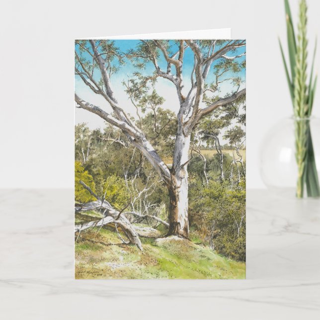 Werribee River Gum - Letterpress Thank You Card (Front)