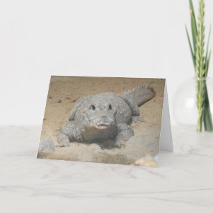"West African Dwarf Crocodile" Birthday Card