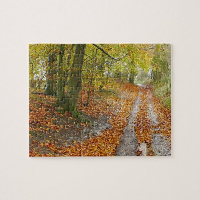 West Berkshire Path in Autumn Puzzle (Horizontal)