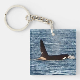 West Coast Killer Whale "John Coe" Orca Keychain