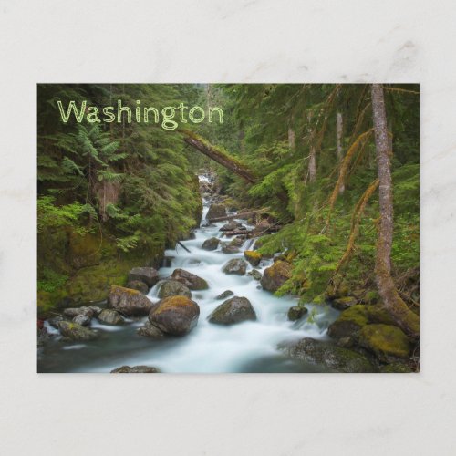 West Fork Foss River Washington Postcard