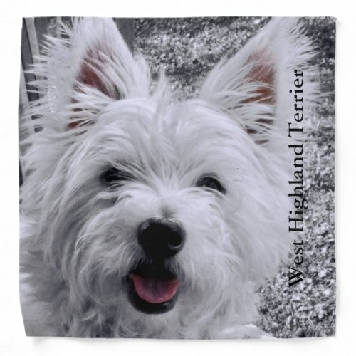 West Highland Terrier Bandana