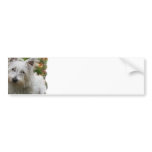 West Highland Terrier Bumper Stickers