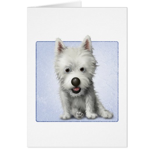 West Highland Terrier Cards (Front)