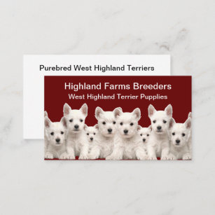West Highland Terrier Dog Breeder Business Card