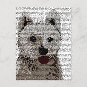 West Highland Terrier Plain Postcard