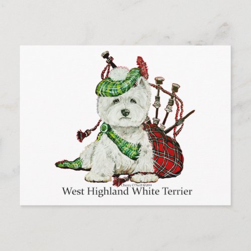 West Highland Terrier Postcard