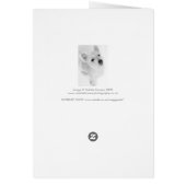 West Highland Terrier Pup (Back)