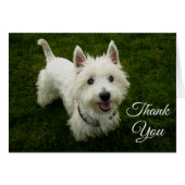 West Highland Terrier Puppy Dog Blank Greetng Card (Front Horizontal)