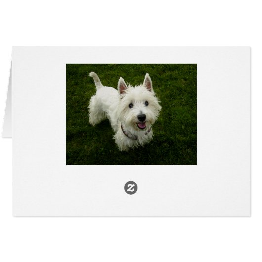 West Highland Terrier Puppy Dog Blank Greetng Card (Back Horizontal)