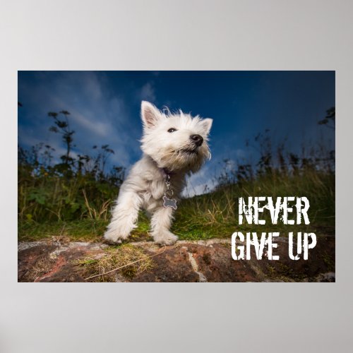 West Highland Terrier Puppy Poster