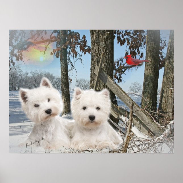 West Highland Terrier winter day Poster (Front)