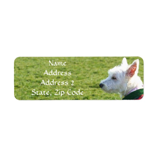 West Highland White Terrier Address Labels (Front)