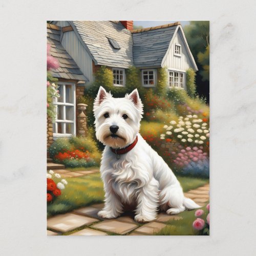 West Highland White Terrier beautiful   Postcard