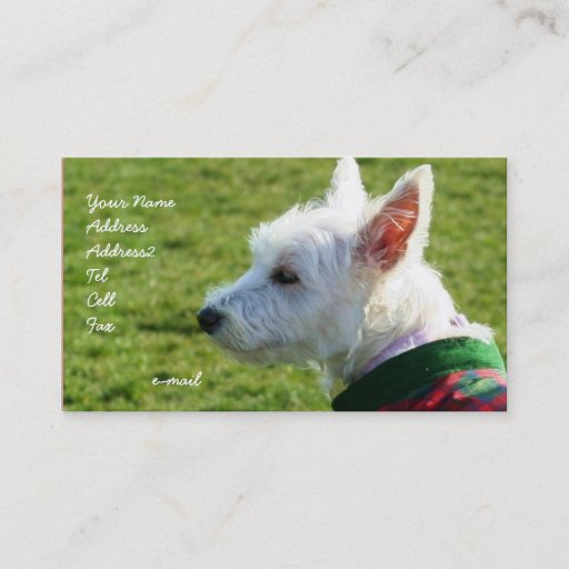 Customizable West Highland White Terrier business cards