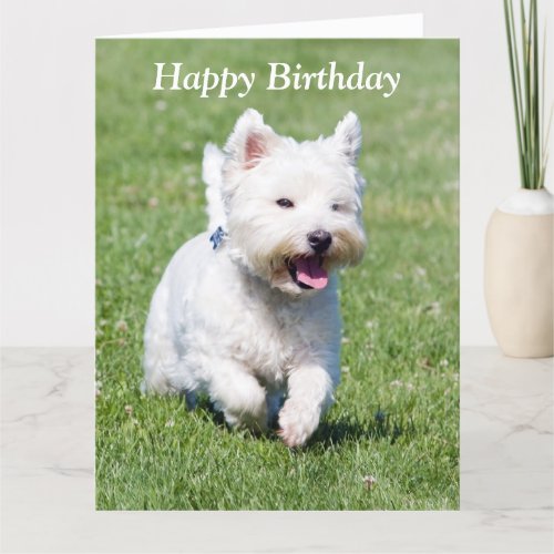 West Highland White Terrier card