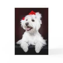 West Highland White Terrier Christmas Card