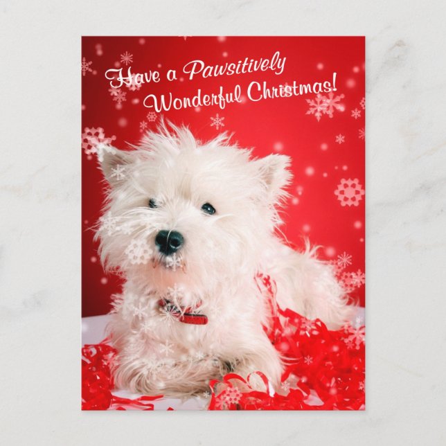 West Highland White Terrier Christmas Wishes Holiday Postcard (Front)