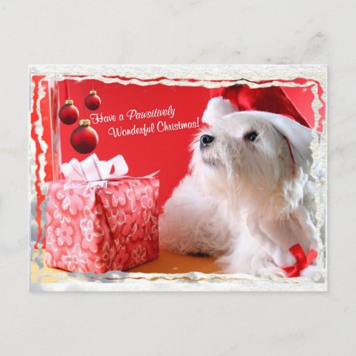 West Highland White Terrier Christmas Wishes Holiday Postcard