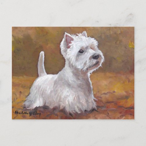 West Highland White Terrier  Dog Art Postcard