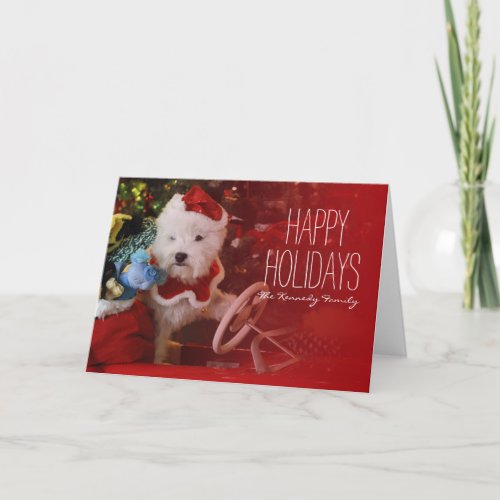 West Highland White Terrier dog as Santa Claus Holiday Card