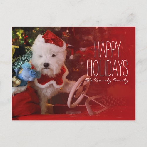 West Highland White Terrier dog as Santa Claus Holiday Postcard