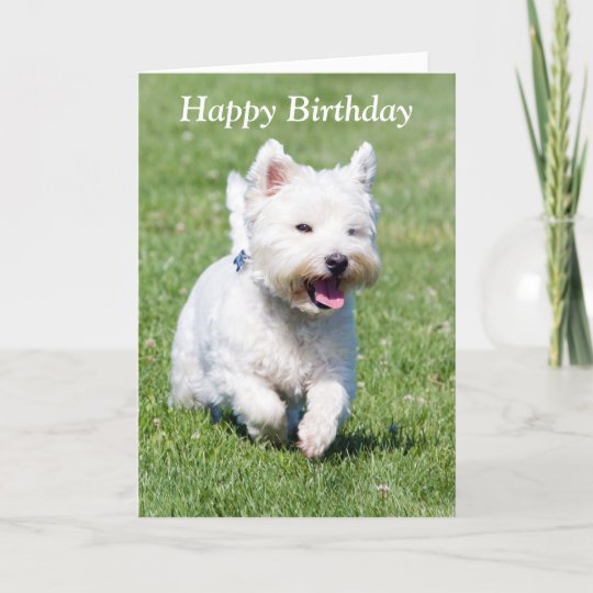 White West Highland Terrier Cute Westie with Love Westie card Westie Love Card Dog Greeting Card Westie Greeting card