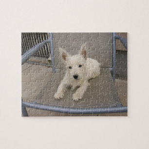 West Highland White Terrier Dog Puzzle