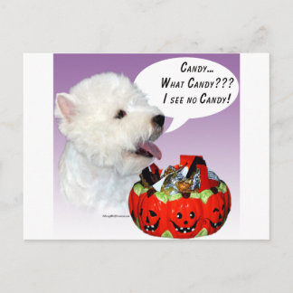 West Highland White Terrier Halloween Candy Postcard