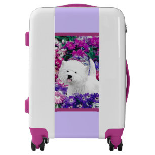 West Highland White Terrier Painting Dog Art Lugga Luggage